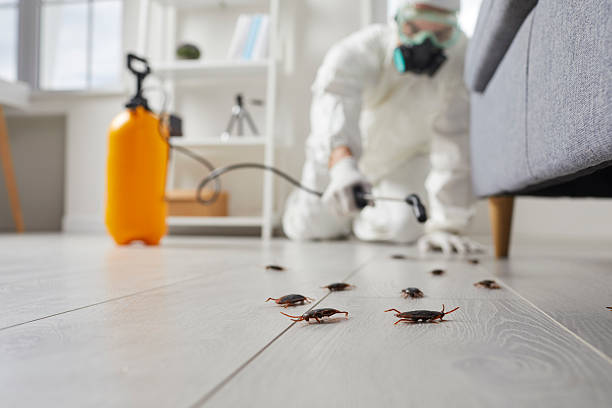Commercial Kitchen Cockroach Control in Columbia
